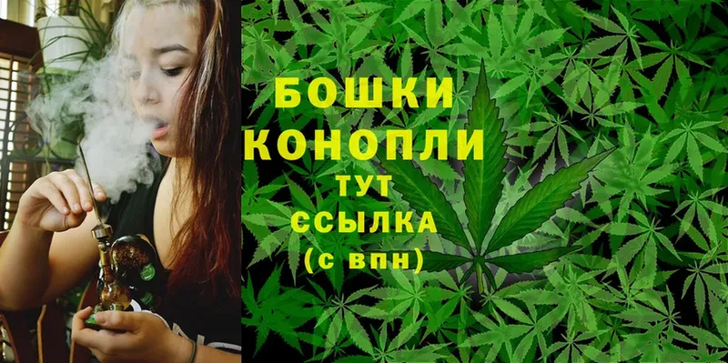 Шишки марихуана SATIVA & INDICA  Городовиковск 